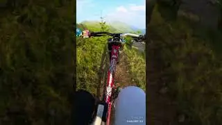 Jaw-Dropping Red Bull Hardline 2024 Run by Juanfer Velez | Custom Santa Cruz V10 by AMS