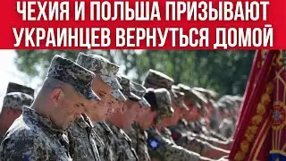 ЧЕХИЯ и ПОЛЬША ХОТЯТ ОТПРАВИТЬ ВОЕННООБЯЗАННЫХ УКРАИНЦЕВ В УКРАИНУ. Какая страна СЛЕДУЮЩАЯ?