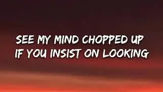 AViVA   HOUDINI Lyrics