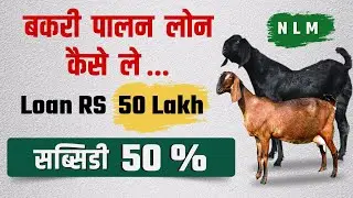 बकरी पालन लोन कैसे ले Full जानकारी | Goat Farming Business Loan | Loan RS 50 Lakh - Subsidy 50 %