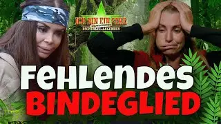 DSCHUNGELCAMP Tag 7 | BLOSSGESTELLT! Kader rastet aus! Giulia provokant!