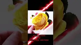 Роза Остина🌹 