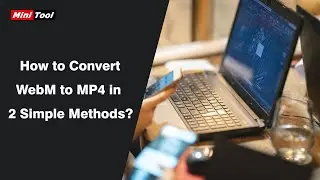 How to Convert WebM to MP4 in 2 Simple Methods?