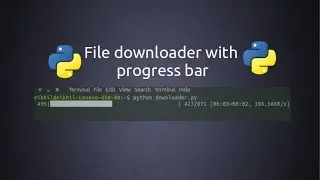 File downloader with a progress bar using Python