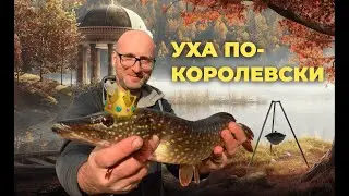 Поймал щуку и приготовил уху по-королевски. Воскрешаю домик в деревне [Часть 2]