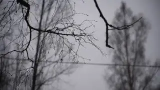 МРАЧНЫЙ ДЕКАБРЬ Футаж