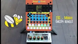 ESG - Moody (MC84 remix) | SmplTrek | Buzzzy