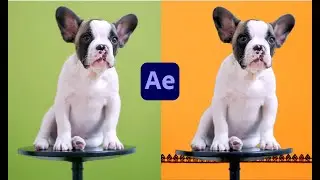 How to remove green screen using Keylight in after effects tutorial
