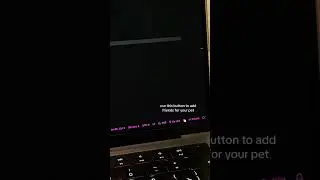 Add pets inside vs code 