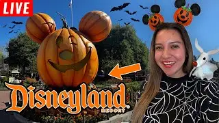 🔴 LIVE AT DISNEYLAND! IT’S OFFICIALLY SPOOKY SEASON!! (Walking and Chatting) 🎃👻