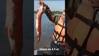 щука 4.5кг