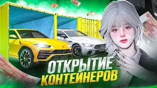 УНИКАЛЬНЫЕ ЭМОЦИИ | ПОТРАТИЛ МИЛЛИОНЫ на КОНТЕЙНЕРЫ [MTA PROVINCE]