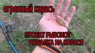 РЫБАЛКА НА ОГРОМНОГО КАРАСЯ!ТАШЕБА..