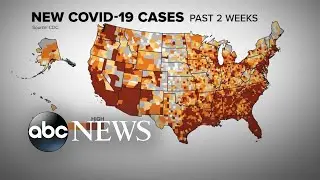 US coronavirus deaths soar as officials call for shutdowns | WNT