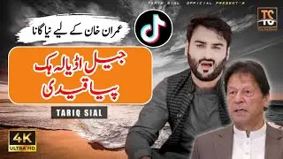 Jail Adiyala Hik Piya Qaidi | Singer Tariq Sial | Imran Khan New Song | New TikTok Viral Song 2024