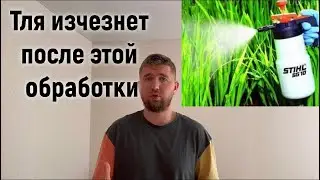 Тля погибнет. Эффективный метод борьбы с тлёй. КАК ИЗБАВИТЬСЯ от вредителей.