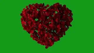 Rose petals exploding | Green Screen Library