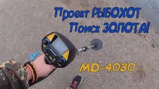 Ищем Золото на пляже MD-4030,Хакасия,Аскизский тракт(9 километр)