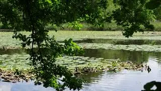 Wald Ausflug Uhingen