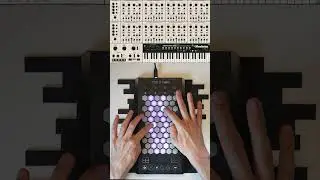 Exquis - @GForceSoftware @Oberheim OB-E "Eighties Glamour" #keys #synth #vst #midi #mpe #keyboard