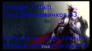 Lineage 2 Main Гайд для новичков часть 3. Гомункулы, куда тратить первый капитал, экипировка.