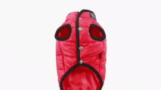 Куртка для собаки 328 PA-OW MAC2 Puppy Angel www.glamdog.ru