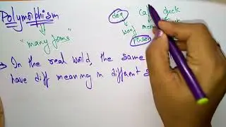 polymorphism | Object oriented software engineering |