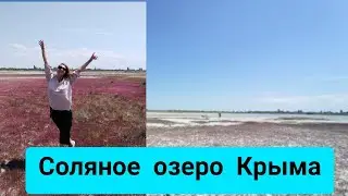 СОЛЕНОЕ ОЗЕРО В КРЫМУ. Целебная грязь