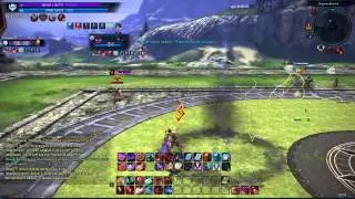Archer pvp 65 lvl Tera