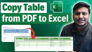 How to copy Table from PDF to Excel File in Few Seconds