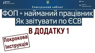 Як ФОПу, що є також найманим працівником, заповнити Додаток 1 в річній Декларації платника ЄП?