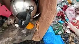 В поисках меди и других металлов