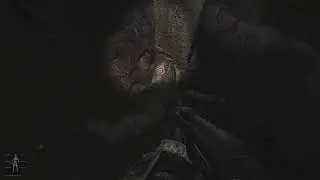 S.T.A.L.K.E.R. Anomaly EFP SE 