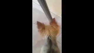 Κλιφ! [12-08-14][HD1080p] [1]
