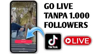 Cara Live di TikTok Tanpa 1000 Pengikut || Live di TikTok