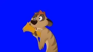 Timon Blue Screen