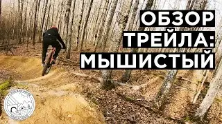 БЫСТРЫЙ ОБЗОР | Трейл Мышистый на Собере