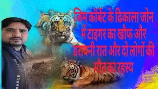 जिम कॉर्बेट के ढिकाला जोन में टाइगर का खौफ और डरावनी रात और दो लोगों की मौत का सीक्रेट