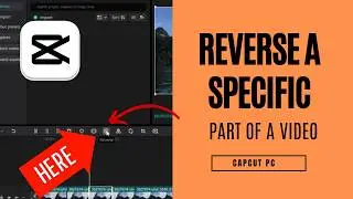 How to Reverse a Specific Part of a Video in CapCut PC | Step-by-Step Tutorial