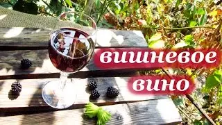 Рецепт вишневого вина домашнего приготовления