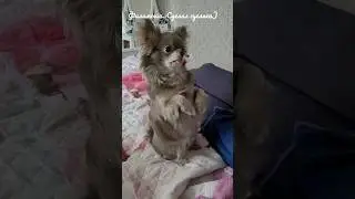 Филимоша. Сделал суслика) 