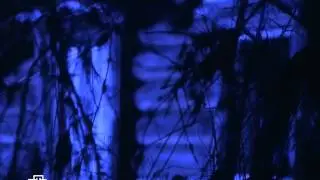 Анатолий Кашпировский. Оборотни
