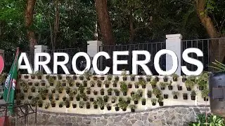 ARROCEROS FOREST PARK MANILA