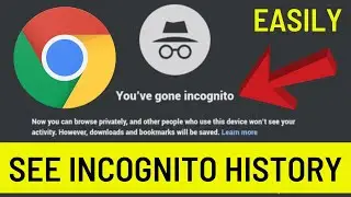 How To See Incognito History On Google Chrome On Laptop/PC | Check Incognito History | 100% Working