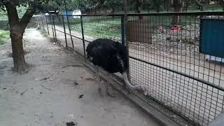 Day Tour Travel Bangladesh National Zoo