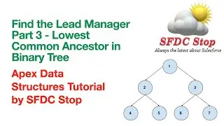 Find the Lead Manager Part 3 - Lowest Common Ancestor in Binary Tree | Apex Data Structure Tutorial