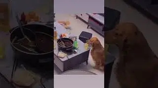 Перебрал😂😂