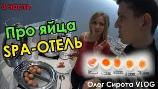 VLOG: СПА-отель 3 часть - Про яйца  / Олег Сирота