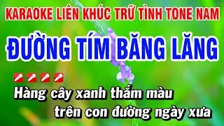 Karaoke Liên Khúc Trữ Tình Tone Nam Nhạc Sống Dễ Hát - Đường Tím Bằng Lăng | Hoài Phong Organ