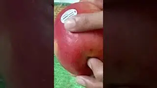 ternyata ada lilin di buah buah an